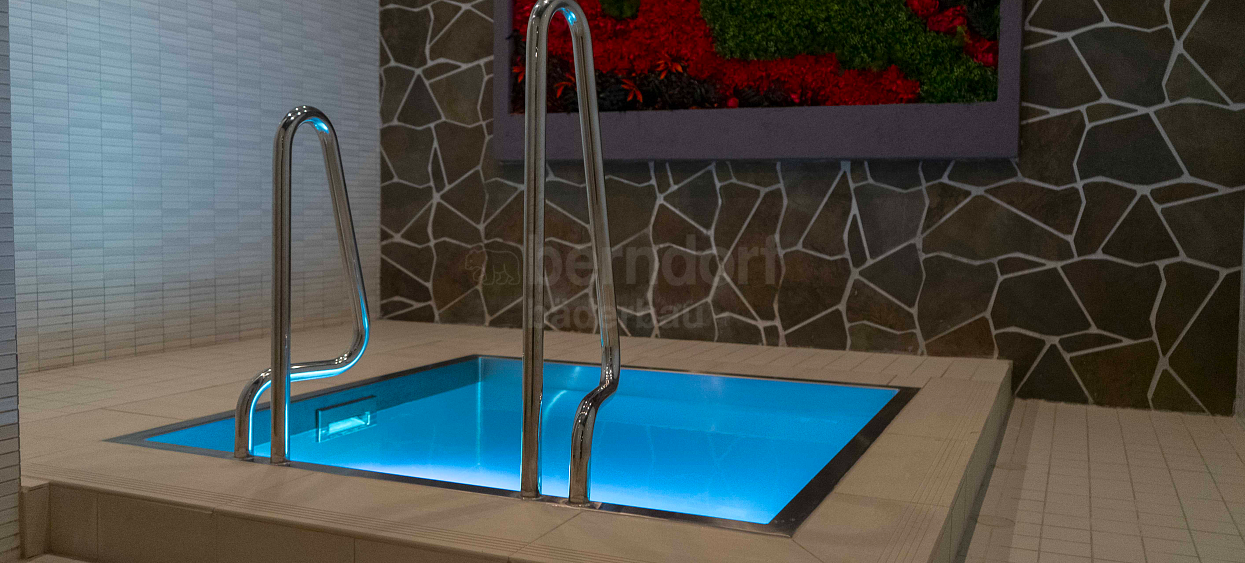 Ochlazovací bazén Hotel Mikulášska chata Ochlazovací bazén Hotel Mikulášska chata